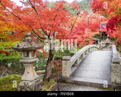 Japanische Zen-Garten-Brücke und Steinlaterne im Herbst. Stockfoto
