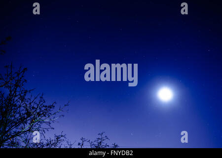 Der Sternenhimmel und der Mond. Blick aus meinem Fenster. Mond und Sterne Staub in den Himmel. Stockfoto