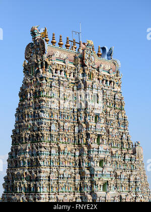 Meenakshi Sundareswarar Tempel in Madurai. Tamil Nadu, Indien. Es ist ein Twin-Tempel, einer davon Meenakshi gewidmet ist, und Stockfoto