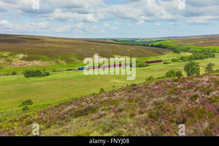 Vintage Diesel-Zug macht seinen Weg von Goathland, Pickering durch die North York Moors mit Heidekraut blühen im Sommer. Stockfoto