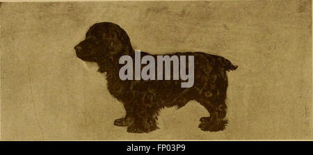 Diese Ausgabe von „The Dog Book“ aus dem Jahr 1906 bietet eine umfassende Geschichte des Hundes, einschließlich praktischer Ratschläge zur Hundepflege, zur Hundehaltung und zur Zuchtbeschreibungen für Ausstellungs- und Haustiertiere. Stockfoto