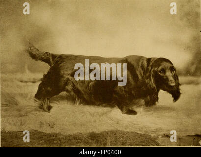 Diese Ausgabe von „The Dog Book“ aus dem Jahr 1906 bietet eine umfassende Geschichte des Hundes und Ratschläge zu Pflege, Zwingerhandlung und Ausstellungstechniken. Sie enthält Beschreibungen wichtiger Hunderassen und ihrer Merkmale. Stockfoto