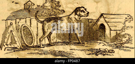 The Elementary Rechtschreibung Book (1908) ist eine überarbeitete Ausgabe des American Rechtschreibung Book, das einen aktualisierten und systematischen Ansatz für das Erlernen der Rechtschreibung für frühe Lernende bietet. Stockfoto