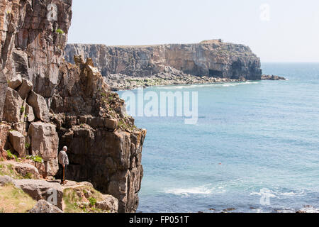 Klippen in der Nähe von St. Govan Kapelle, St. Govan Kopf, in der Nähe von Pembroke, Pembrokeshire, Wales, Vereinigtes Königreich, Europa Stockfoto