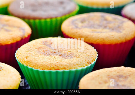 Nahaufnahme des frisch gebackenen Muffin mit Kakao und Schokolade in farbigen geformt Stockfoto