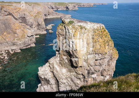 Stapeln Sie Rock,Pembrokeshire,Wales,U.K. Stockfoto