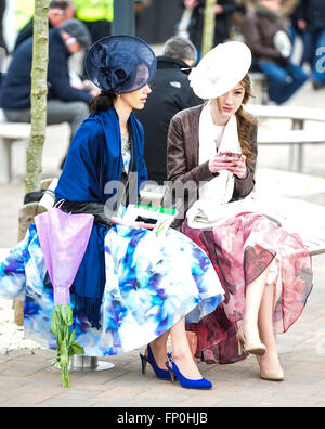 Cheltenham, Gloucestershire, UK. 16. März 2016. Damen gesehen am Ladies Day, The Festival, Cheltenham Racecourse, Cheltenham, Gloucestershire.UK Kredit: Jules Annan/Alamy Live News Stockfoto