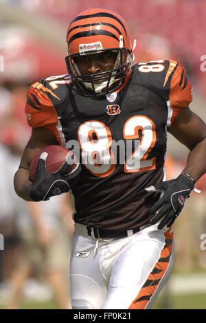 Tampa, Florida, USA. 15. Oktober 2006. 15. Oktober 2006; Tampa, FL, USA; Cincinnati Bengals (82) enge Ende Reggie Kelly während Poloshirt vor dem Bengals-Spiel mit den Tampa Bay Buccaneers im Raymond James Stadium. ZUMA Press/Scott A. Miller © Scott A. Miller/ZUMA Draht/Alamy Live-Nachrichten Stockfoto