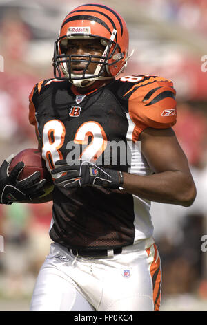 15. Oktober 2006 - Tampa, Florida, USA - 15. Oktober 2006; Tampa, FL, USA; Cincinnati Bengals (82) enge Ende Reggie Kelly während Poloshirt vor dem Bengals-Spiel mit den Tampa Bay Buccaneers im Raymond James Stadium. ZUMA Press/Scott A. Miller (Kredit-Bild: © Scott A. Miller über ZUMA Draht) Stockfoto