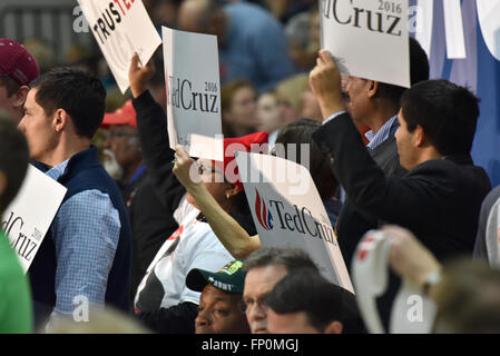 Saint Louis, MO, USA - 12. März 2016: Anhänger zeigen ihre Begeisterung für republikanische Präsidentschaftskandidat Ted Cruz in einer Kundgebung an Parkway West High School. Stockfoto