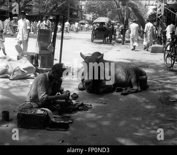 1962 - die heilige Kuh: Heilige Kühe dürfen die Straßen in Alt-Delhi. In Neu-Delhi sind sie nicht willkommen. © Keystone Bilder USA/ZUMAPRESS.com/Alamy Live-Nachrichten Stockfoto