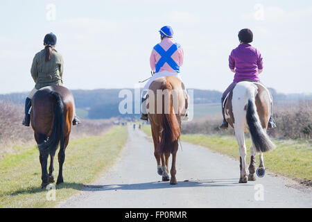 Die Kiplingcotes Derby die Weltälteste Pferd Rennen laufen in Yorkshire jedes Jahr seit 1519 Stockfoto