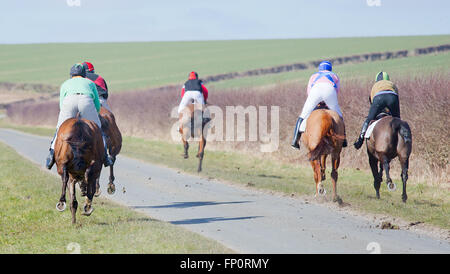 Die kiplingcotes Derby die Weltälteste Pferd Rennen laufen in Yorkshire jedes Jahr seit 1519 Stockfoto