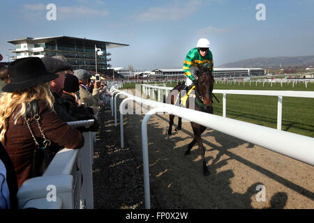 Cheltenham, Vereinigtes Königreich. 17. März 2016.  Cheltenham Festival, tag3, Cheltenham Racecourse, Gloucestershire Day drei von 2016 Cheltenham Festival.  Im Bild: Racegoers blicken auf als Pferd und Jockey ihren Weg an den Start beim Cheltenham Festival 2016. Allgemeine Ansicht Credit: Lucy Ford/Alamy Live-Nachrichten Stockfoto