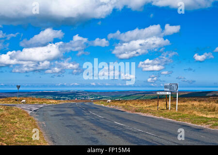 Westerdale Straßenkreuzung und Wegweiser auf Blakey Ridge, North York Moors. Zwei Schafe grasen am Straßenrand, Yorkshire, England Stockfoto