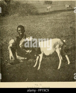 *Die Abstammung der ältesten Haustiere* (1902) erforscht die Ursprünge und Domestikation der ältesten Haustiere, wobei der Schwerpunkt auf Tieren wie Hunden, Katzen und Pferden und ihrer Rolle in der menschlichen Gesellschaft liegt. Stockfoto
