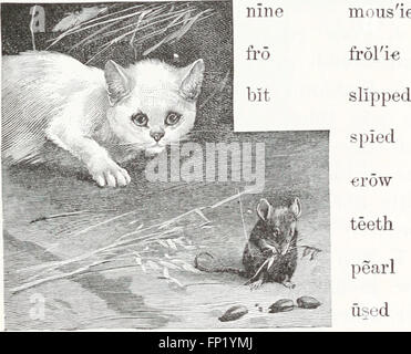 Diese Ausgabe von McGuffeys zweiter eklektischer Leser aus dem Jahr 1920 ist ein klassisches Lehrbuch zum Erlernen von Lese- und Sprachfähigkeiten, mit einer Vielzahl von Passagen für Kinder, um ihre Alphabetisierung zu üben. Stockfoto