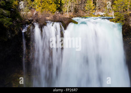 Koosah Falls ist ein 70-Fuß-Sprung-Wasserfall auf dem McKenzie River in Oregon. Stockfoto