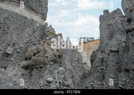 Putangirua Pinnacles in der Aorangi reicht, Nordinsel, Neuseeland Stockfoto