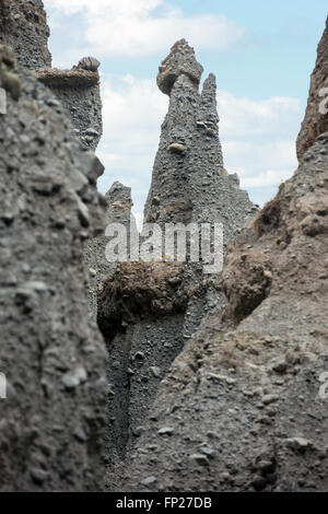 Putangirua Pinnacles in der Aorangi reicht, Nordinsel, Neuseeland Stockfoto