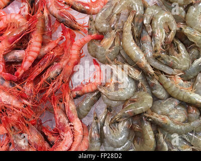 Frische Meeresfrüchte - Garnelen oder Shrimps auf einem Marktstand Stockfoto