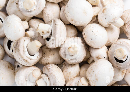 Portion Champignons für den Einsatz als Hintergrundbild oder als Textur Stockfoto