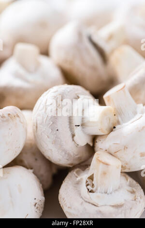 Portion Champignons für den Einsatz als Hintergrundbild oder als Textur Stockfoto