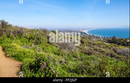 Wildblumen blühen entlang der Los Leones Trail in der Nähe der Aussichtspunkt, wo ein Wanderer gesehen werden kann, ruht auf einer Bank Stockfoto