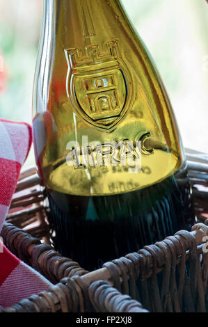 Schließen Sie die Ansicht auf Glas Relief Etikett auf Flasche Rotwein Côtes du Rhône Lirac im Picknick-Korb-Avignon-Frankreich Stockfoto