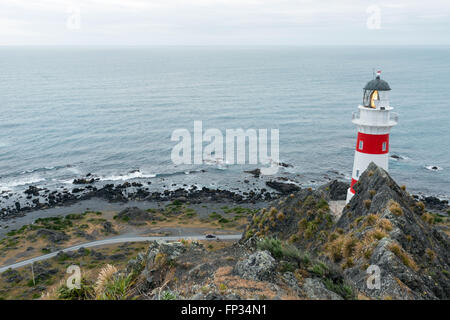 Cape Palliser Leuchtturm, Wairarapa, Nordinsel, Neuseeland Stockfoto