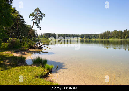 Großer Ostersee See, Osterseen Natur Reservat, Iffeldorf, Pfaffenwinkel Region, Fünfseenland, Oberbayern, Bayern Stockfoto