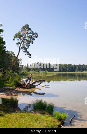 Großer Ostersee See, Osterseen Natur Reservat, Iffeldorf, Pfaffenwinkel Region, Fünfseenland, Oberbayern, Bayern Stockfoto