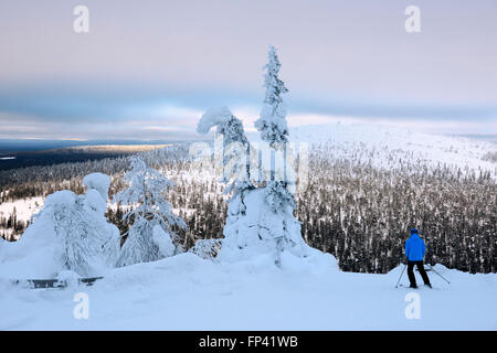 Starker Schneefall auf der Salla fiel. Salla-Skigebiet. Tief in der Wildnis von stark Schnee beladene Nadelbäume und robuste Fell Hallo Stockfoto