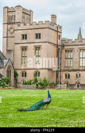 Hauptgebäude der Newstead Abbey, Nottinghamshire, England Stockfoto