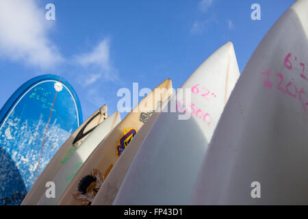 Surfbrett, Neoprenanzug Verleih Shop "Redwood" auf Croyde, Küste von North Devon, UK. Stockfoto