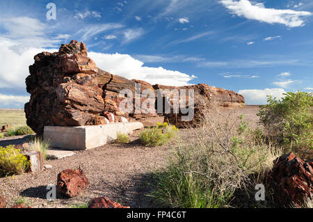 Bunte versteinert an riesigen Holzscheite im Petrified Forest National Park, USA Stockfoto