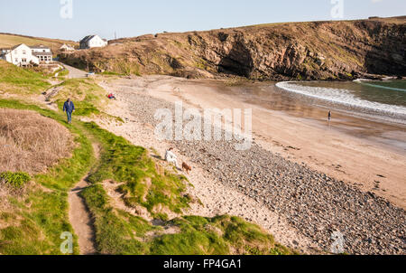 Hundebesitzer an sonnigen Tag auf Out-of-Saison Nolton Haven Strand entlang Pembrokeshire Coast Path. Wales hat jetzt einen Küstenweg Stockfoto