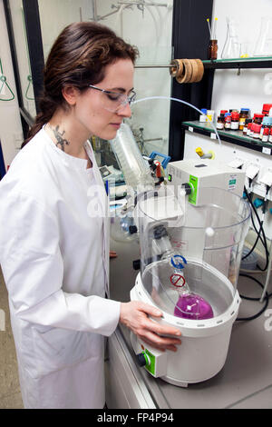 Experimentieren Sie im Labor, Heinrich-Heine-Universität Düsseldorf, Deutschland Stockfoto