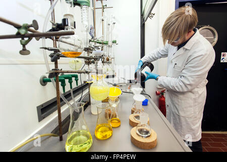 Experimentieren Sie im Labor, Heinrich-Heine-Universität Düsseldorf, Deutschland Stockfoto