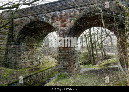 Ein Stein Eisenbahn Brücke über einen Bach und neben Bäumen, Friseur stand in Derbyshire, England, Großbritannien Stockfoto