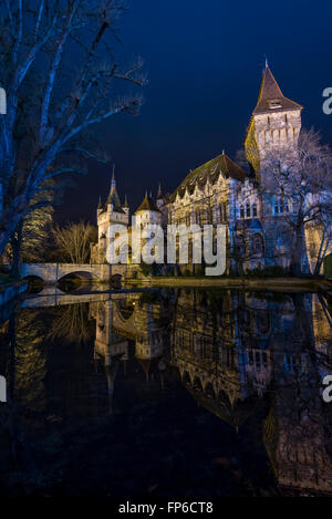 Vajdahunyad Burg bei Nacht in Budapest Ungarn Stockfoto