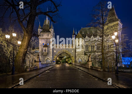 Vajdahunyad Burg bei Nacht in Budapest Ungarn Stockfoto