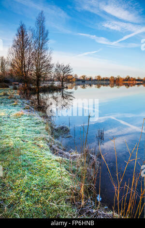 Einem frostigen Wintermorgen auf einem der Seen im Cotswold Water Park Stockfoto