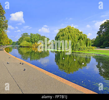 Teich im Regents Park in London an einem hellen Tag September. Stockfoto