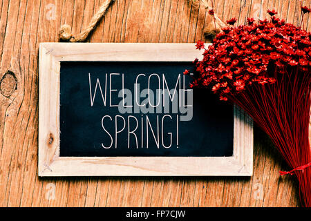 Nahaufnahme von einer gerahmten Tafel mit dem Text willkommen Frühling geschrieben und einen Blumenstrauß rote kleine gegen einen rustikalen Holz Stockfoto