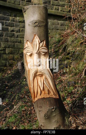 Gesicht Holzschnitzerei auf Trans Pennine Trail, Stottercliffe, Penistone, South Yorkshire. Motorsäge geschnitzt aus einem Baumstumpf. Stockfoto