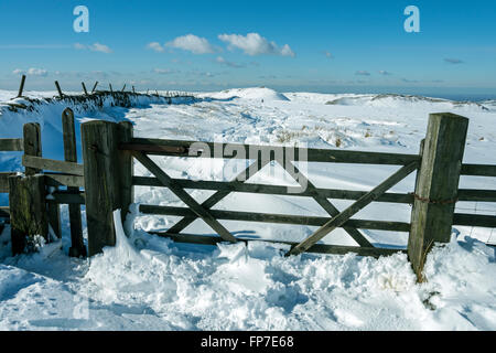 Hof auf der Strecke zwischen South Head (in Ferne) und Brown Knoll, in der Nähe von Hayfield, Peak District, Derbyshire, England, UK Stockfoto