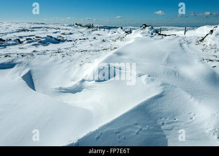 Schnee driftet auf Brown Anhöhe oberhalb Edale, Peak District, Derbyshire, England, UK Stockfoto