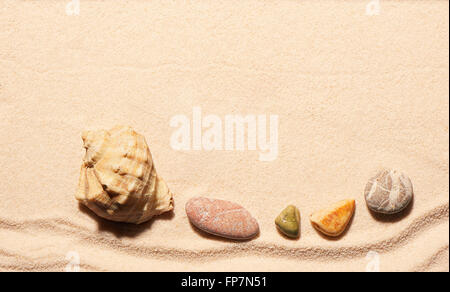 Muschel und Meer Steinen auf Sand. Sommer Strand Hintergrund. Ansicht von oben Stockfoto