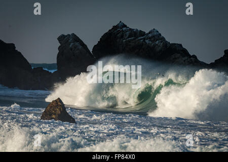 Große Vinifizierung Welle in der Big Sur Küste von Kalifornien, Morgenlicht. Stockfoto